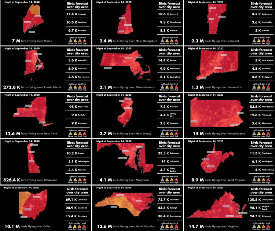 migration-alert-major-northeast-flight-on-14-september-2020-birdcast