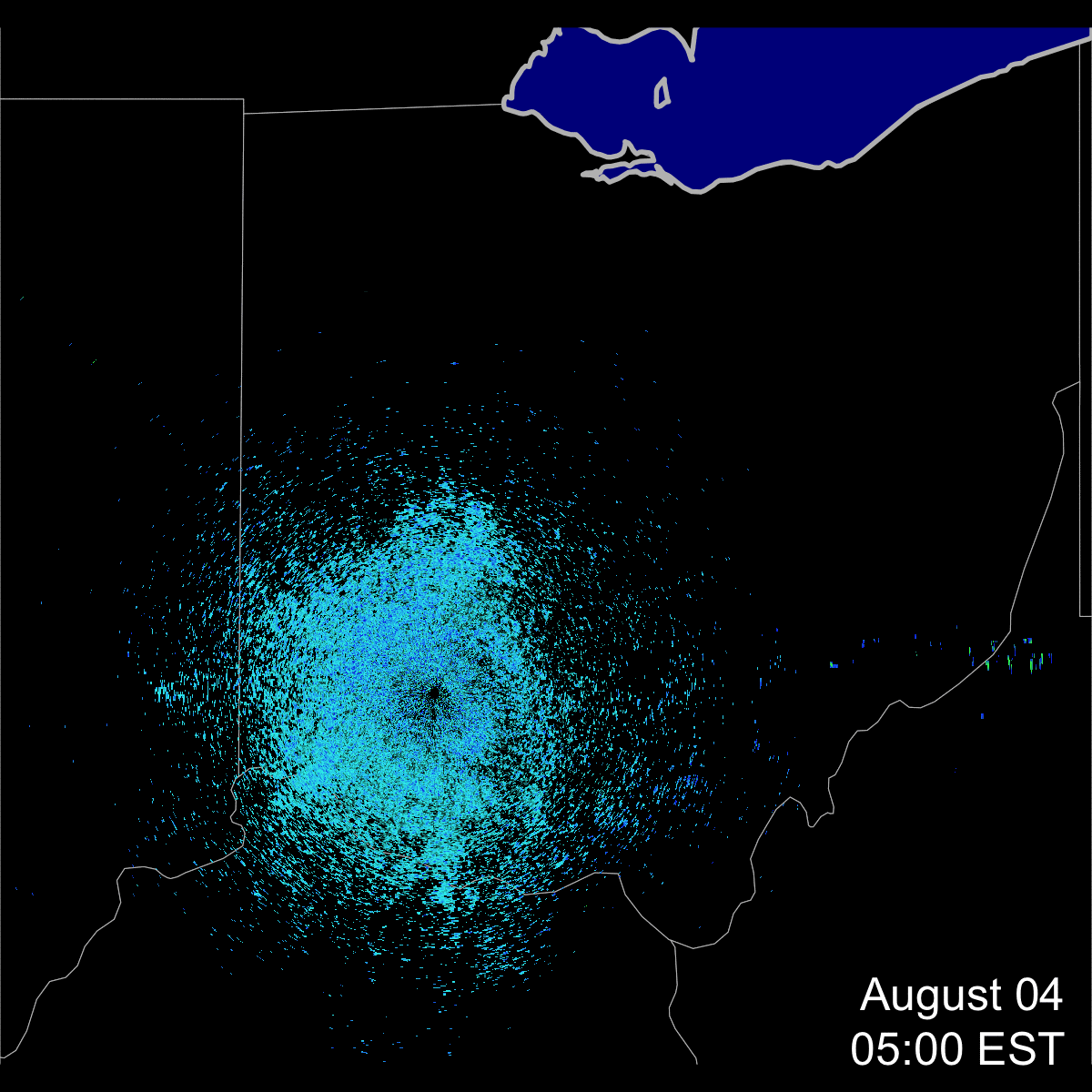Radar imagery of roosts taking to the sky.