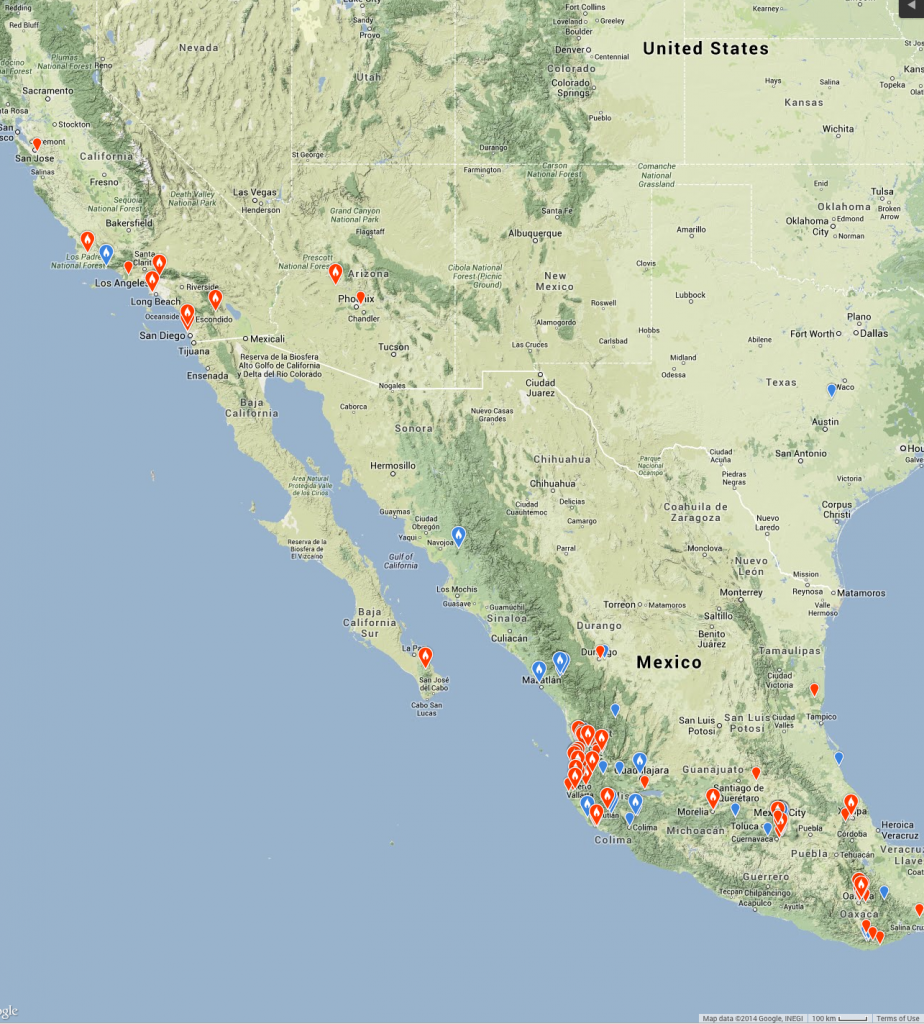 Warbling Vireo Spring Arrivals