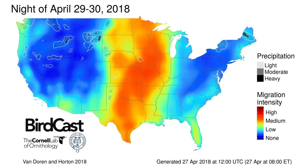 A primer for using weather surveillance radar to study bird migration ...