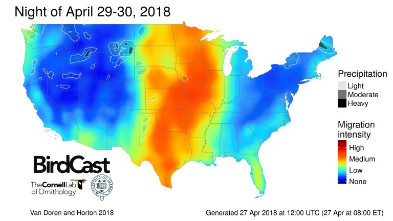 A primer for using weather surveillance radar to study bird migration ...