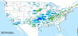 floodgates birdcast
