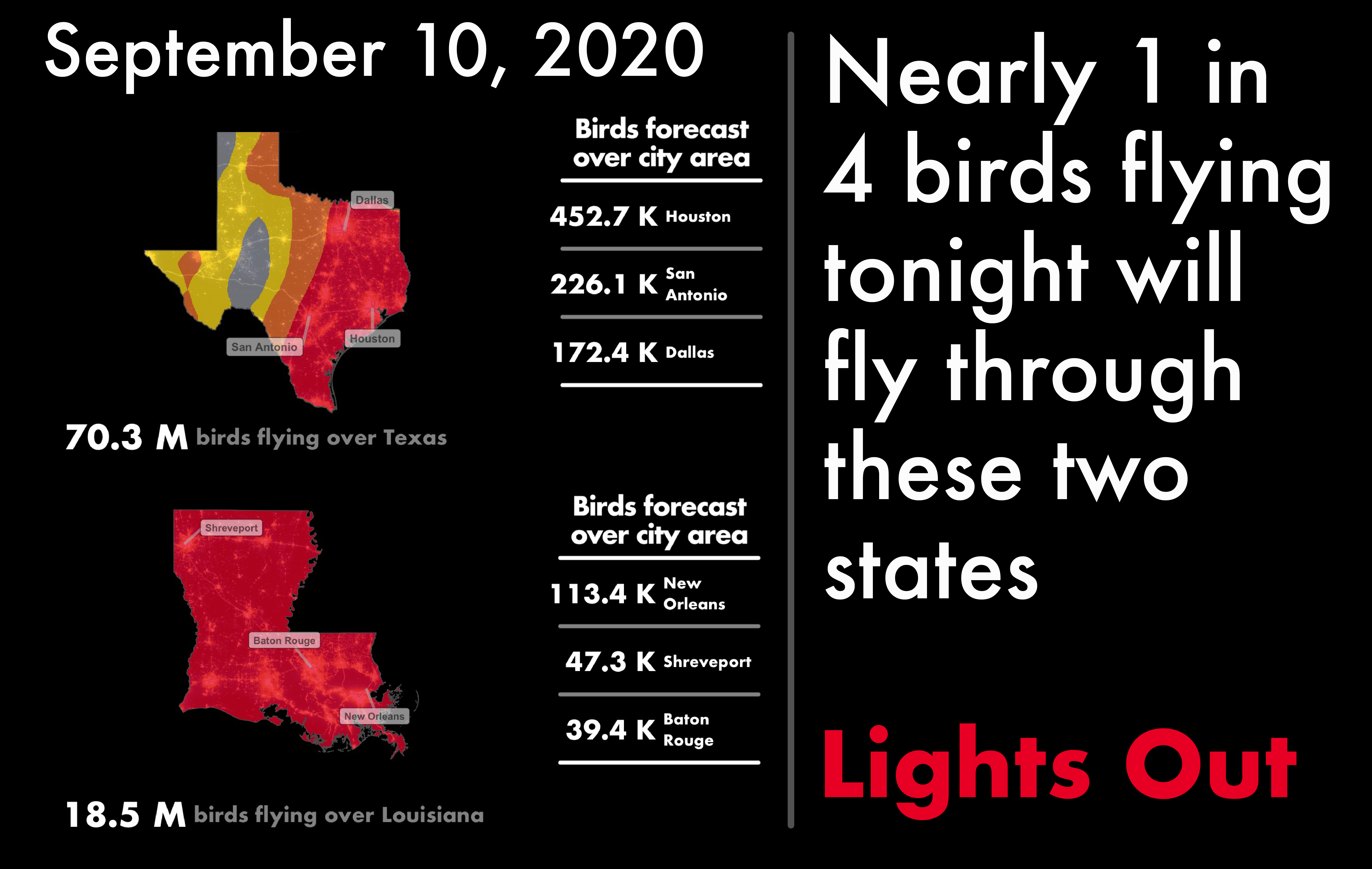 download turn off lights for bird migration