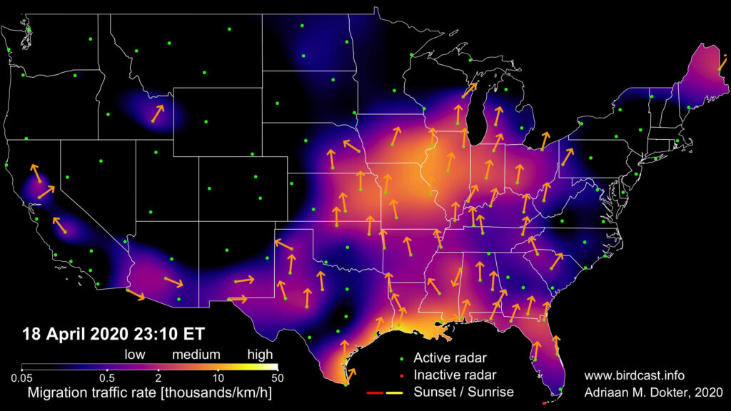 Note new color scale for BirdCast - Mosaic 202004190310 1 1024x576 