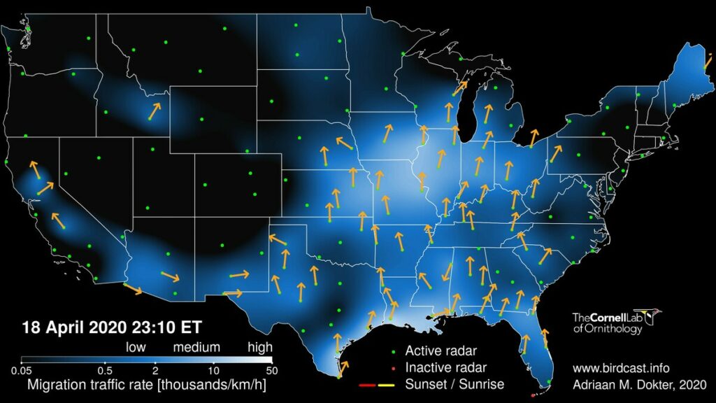 Note new color scale for BirdCast - Mosaic 202004190310 Old 1024x576 